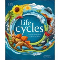 Life Cycles Everything From Start to Finish