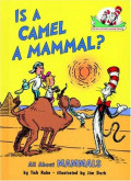 Is a camel a mammal?