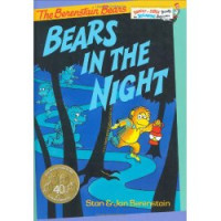 Bears in the night