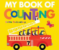 My Book of Counting