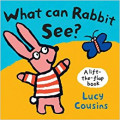 What Can Rabbit See?