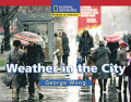 Weather In The City