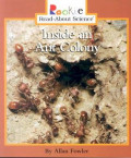 Inside an ant colony