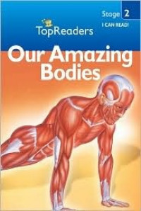 Our Amazing Bodies