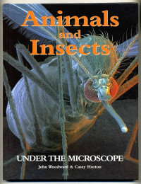 Animals and Insects Under the Microscope