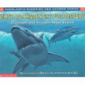 What Do Sharks Eat for Dinner? : Questions & Answers about Sharks