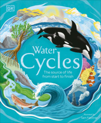 Water Cycles: The Source of Life From the Start to Finish