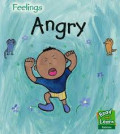 Feelings : Angry