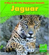 A Day in the Life : Rainforest Animals: Jaguar