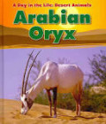 A Day in the Life : Desert Animals : Arabian Oryx