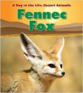 A Day in the Life, Desert Animals : Fennec Fox