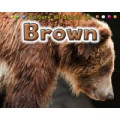 Colours around Us : Brown