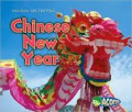 Holidays and Festivals : Chinese New Year