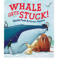 Whale Gets Stuck!