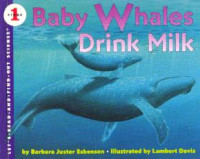 Baby whales drink milk