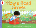 How a Seed Grows