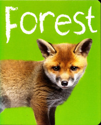 Baby Animals: Forest