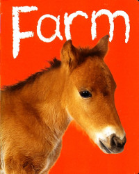 Baby Animals: Farm