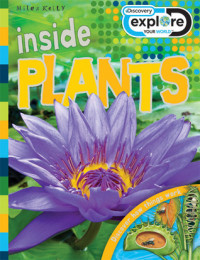 Inside Plants