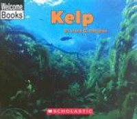 Kelp