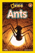 Ants