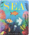 Sea: A World Beneath the Waves