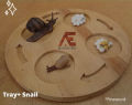 Life Cycle : Snail