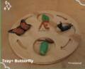 Life Cycle : Butterfly