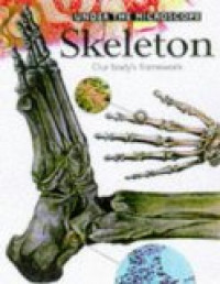 Skeleton: our body's framework