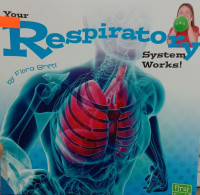 Your Respiratory System Works!