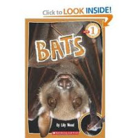 Bats