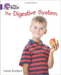 The Digestive System