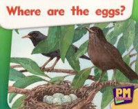 Where are the eggs