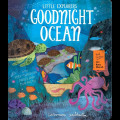 Little Explorers: Goodnight Ocean