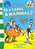 Is A Camel A Mammal? (All About Mammals)