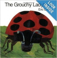 The Grouchy Ladybird