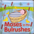 Moses in the Bulrushes