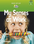 My Senses at Work