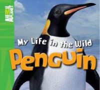 Animal Planet: My Life in the Wild: Penguin : A Life Cycle Book