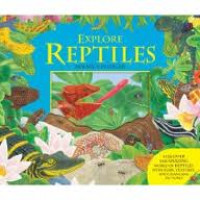 Explore Reptiles