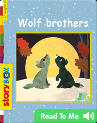 Story box, more than a book: Wolf brothers