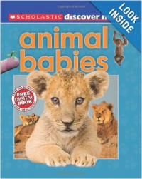 Scholastic Discover More: Animal Babies Hardcover