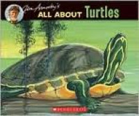 All About Turtles