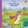 Winnie the Pooh's Thinking Spot : Why Is the Day All Gray?