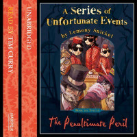 Image of Book 12 : The Penultimate Peril