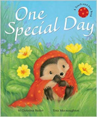Image of One Special Day - A Touch-and feel Book