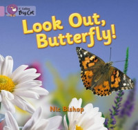 Look out, Butterfly!