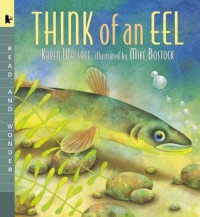 Image of Think of an Eel (Read, Listen and Wonder)