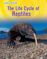 Image of Life Cycles : Reptiles