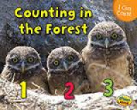 Counting In The Forest